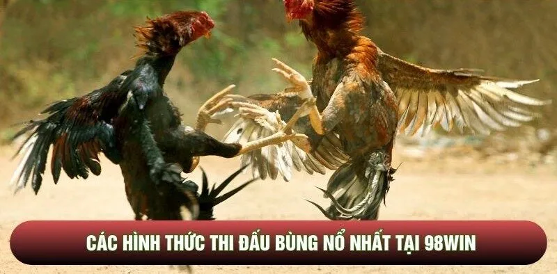 Các hình thức thi đấu bùng nổ nhất tại 98WIN
