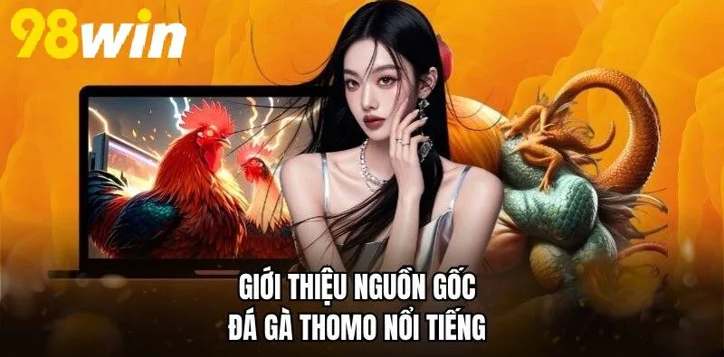 Giới thiệu nguồn gốc Đá Gà Thomo 98WIN nổi tiếng