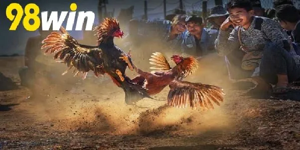 Hỗ Trợ Khi Có Vấn Đề