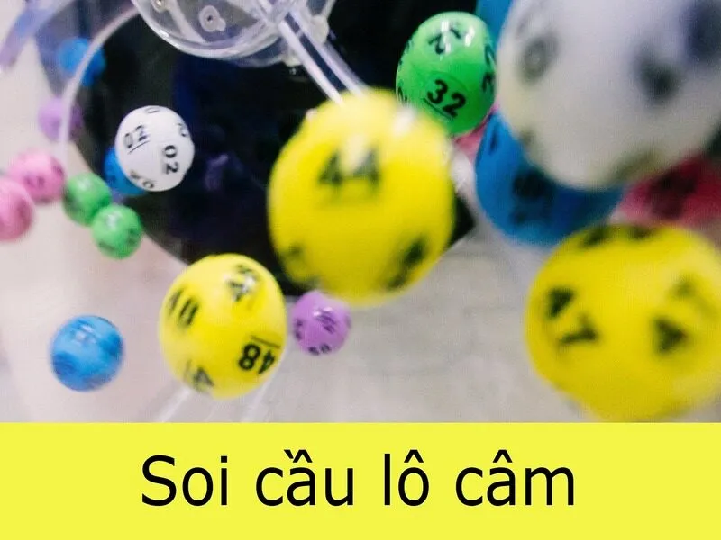 Kinh nghiệm soi cầu Lô Câm hữu ích