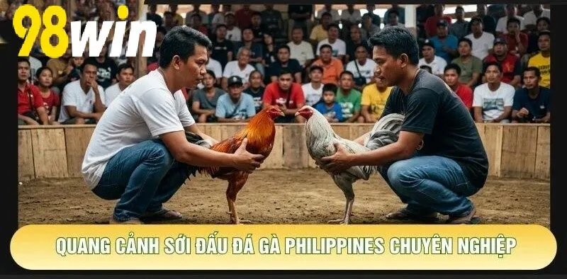 Quang cảnh sảnh đấu Đá Gà Philippines 98WIN chuyên nghiệp
