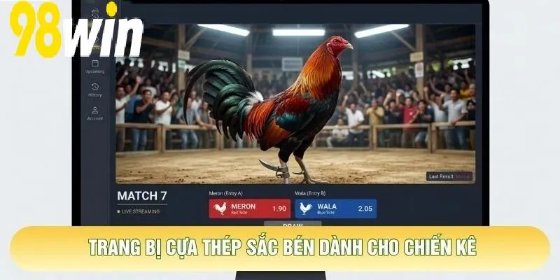 Trang bị cựa thép sắc bén dành cho chiến kê
